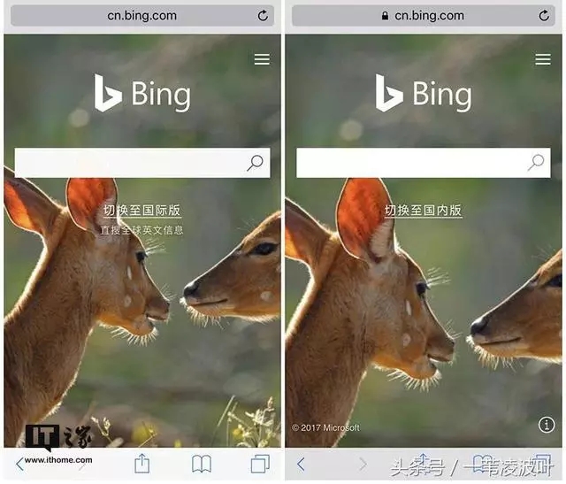 微软必应浏览器下载(bing) 国际版