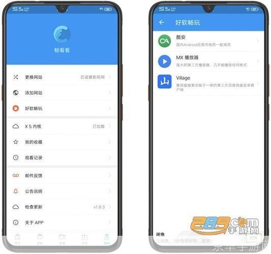 鲸看看怎么安装: 鲸看看APP的安装与使用指南