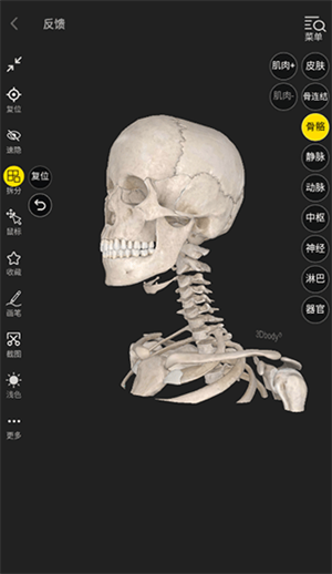 3DBody解剖软件6.0安卓版下载