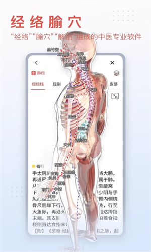 3DBody解剖软件6.0安卓版下载