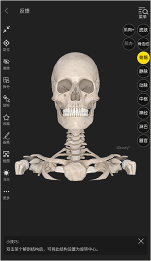 3DBody解剖软件6.0安卓版下载