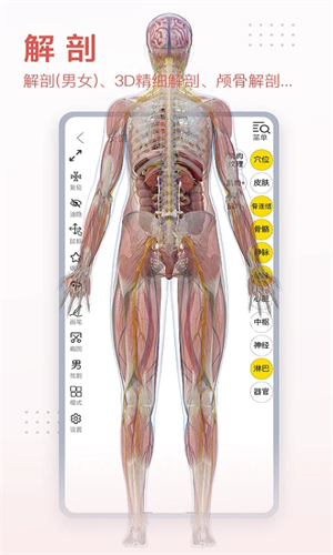 3DBody解剖软件6.0安卓版下载