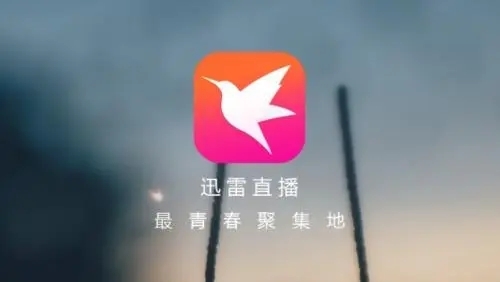 迅雷直播app