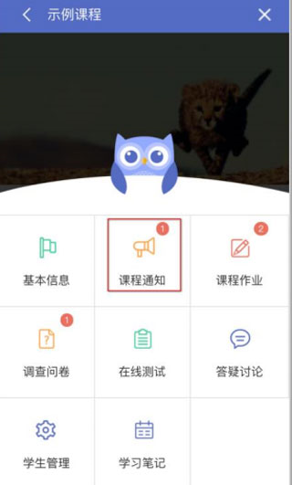 优慕课课程伴侣app