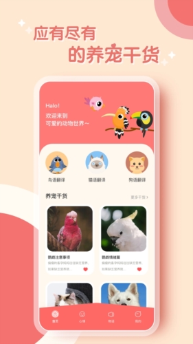 鹦鹉翻译器app