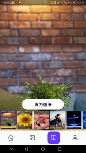 皮皮助手app