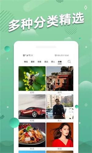 手机动态壁纸2023最新版下载