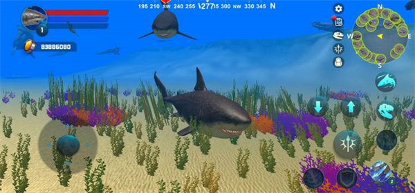 巨齿鲨模拟器(Megalodon Simulator)