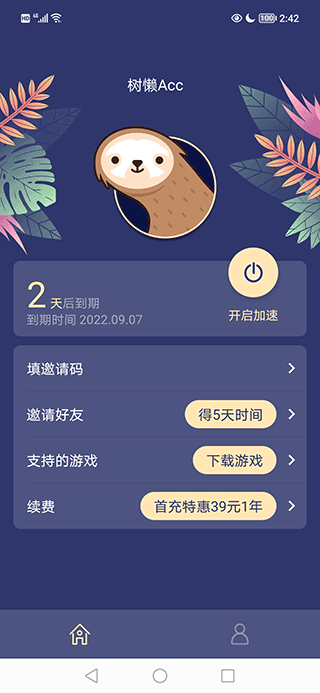 树懒acc加速器