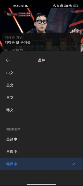 小爱翻译ai字幕