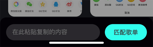 波点音乐app