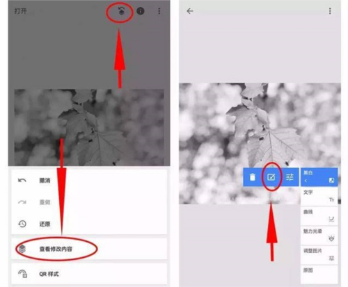 绿叶修图软件免费版