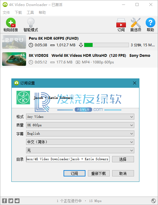 4K Video Downloader v4.22.1 Build 5160 | 高级版[Win版]